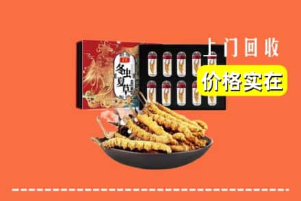邢台市临西回收冬虫夏草